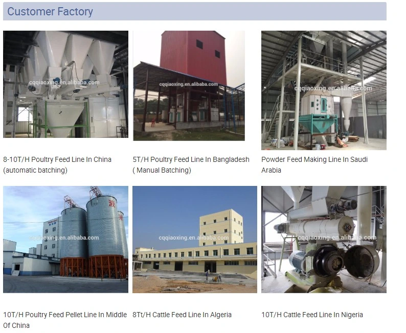 Shrimp Chicken Poultry Cattle Livestock Dairy Complete Animal Feed Pellet Making Production Line for Sale Animal Food Processing Line