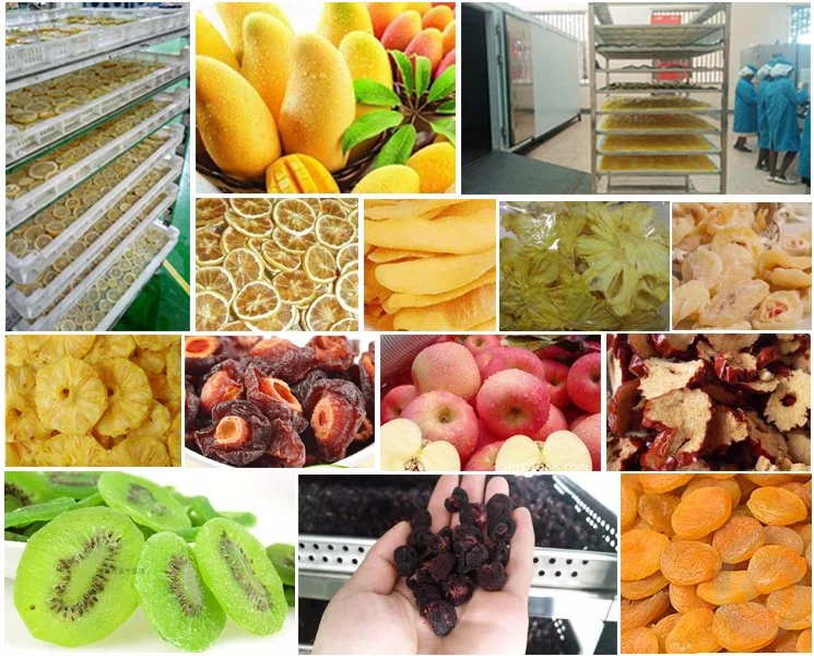 Factory Supply Food Mango Lemon Banana Fruit and Vegetable Garlic Yam Drying Machine