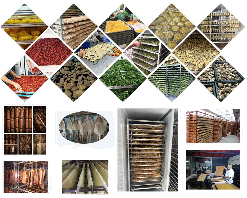 New Design Fruit Meat Jerky Pharmaceutical Mango Pineapple Dehydrator Dryer Incense Wood Agriculture Products Industrial Materials Fish Food Drying Machine