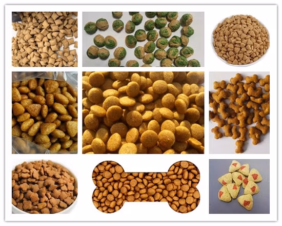 Sec Pet Cat Fish Feed Extrusion Equipment Plant Animal Floating Food Making Processing Extruder Machine Pet Dog Food Pellet Production Line Price