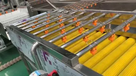 Ligne de production automatique de friteuse continue de pépites de poulet