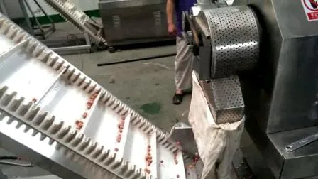 Machines flottantes d'aliments pour poissons/machine à granulés d'alimentation pour poissons/ligne de traitement d'aliments pour poissons